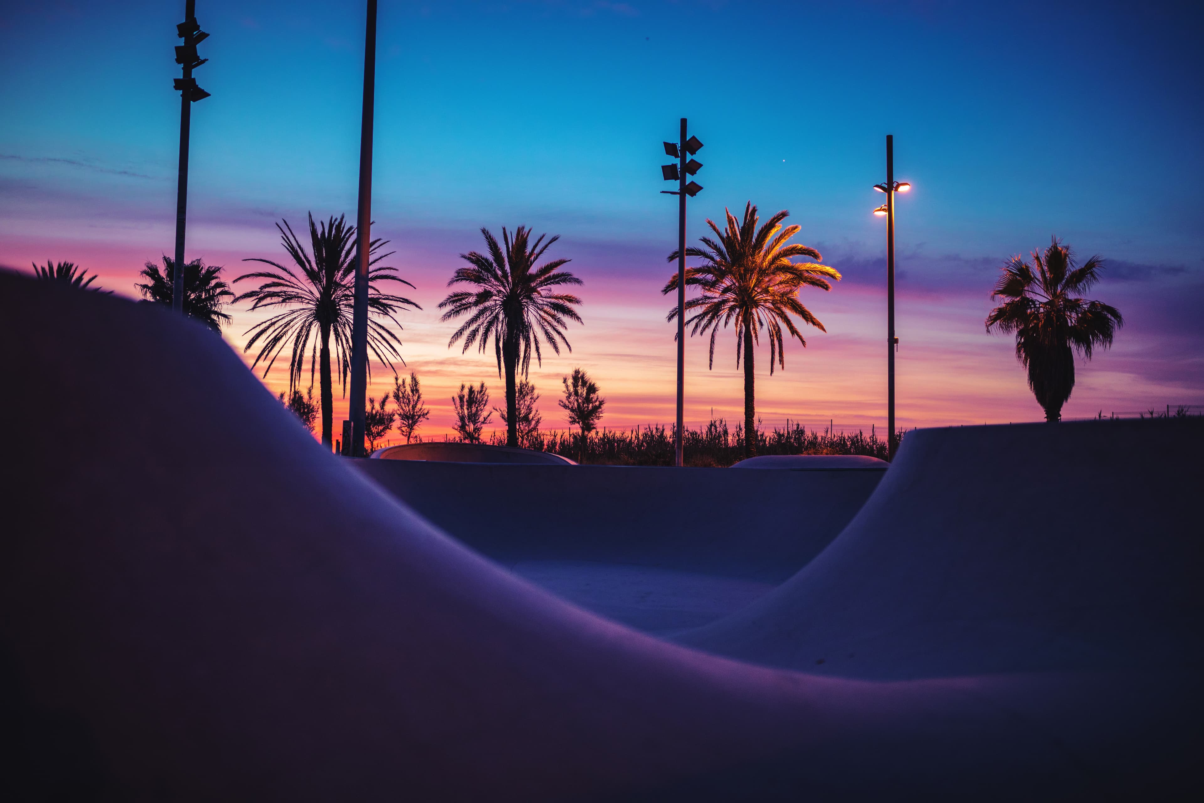Menschenleerer Skatepark-Bowl bei Sonnenuntergang, Palmen als Silhouette vor violett-orangem Himmel