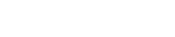 DSW 21 Logo